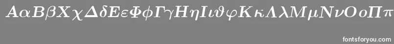 フォントEuclidSymbolBoldItalic – 灰色の背景に白い文字