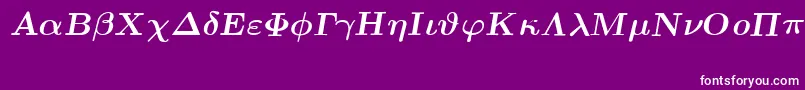 フォントEuclidSymbolBoldItalic – 紫の背景に白い文字