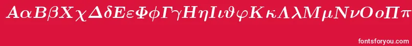 フォントEuclidSymbolBoldItalic – 赤い背景に白い文字