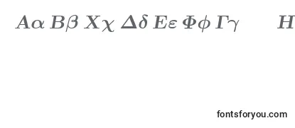 EuclidSymbolBoldItalic フォントのレビュー