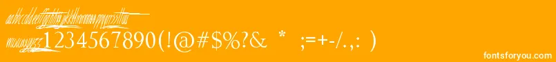 フォントSeeYouTomorrow – オレンジの背景に白い文字