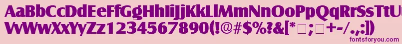 NautoDisplaySsi Font – Purple Fonts on Pink Background