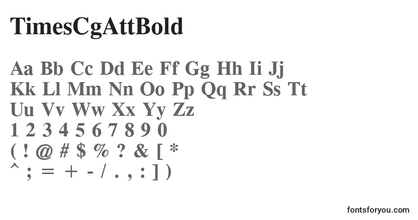 A fonte TimesCgAttBold – alfabeto, números, caracteres especiais