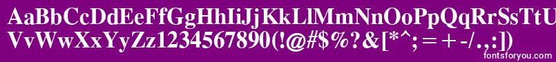 TimesCgAttBold Font – White Fonts on Purple Background