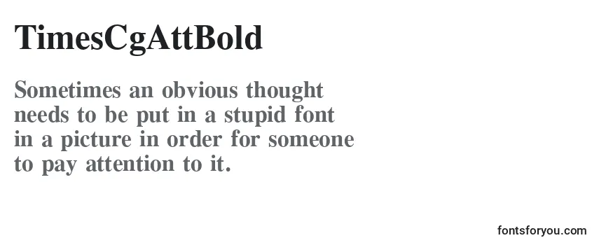 Review of the TimesCgAttBold Font