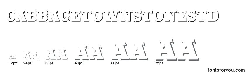 Cabbagetownstonestd Font Sizes