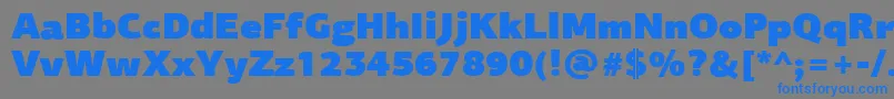 PfagorasansproUltrablack Font – Blue Fonts on Gray Background