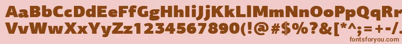 PfagorasansproUltrablack Font – Brown Fonts on Pink Background