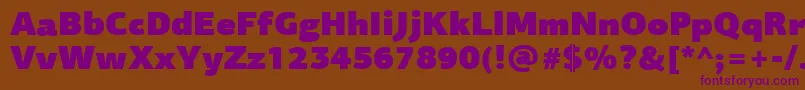 PfagorasansproUltrablack Font – Purple Fonts on Brown Background