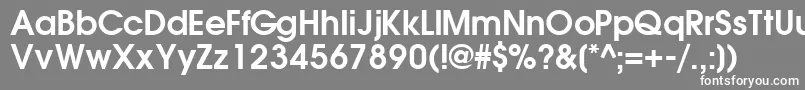 TrendexsskBold Font – White Fonts on Gray Background