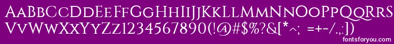 フォントConstantine – 紫の背景に白い文字