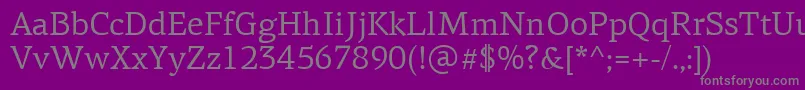 フォントPfagoraserifproRegular – 紫の背景に灰色の文字
