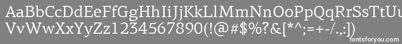 フォントPfagoraserifproRegular – 灰色の背景に白い文字