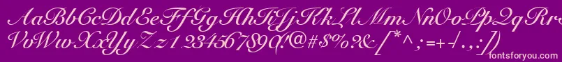 TangoscriptsskBold Font – Pink Fonts on Purple Background