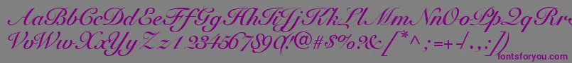 TangoscriptsskBold Font – Purple Fonts on Gray Background