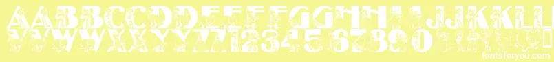 LmsBeyondInfinity Font – White Fonts on Yellow Background