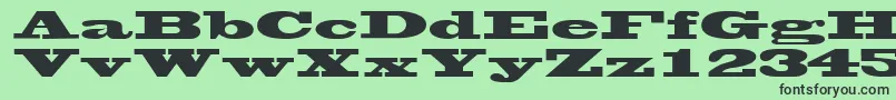 WantedsskRegular Font – Black Fonts on Green Background