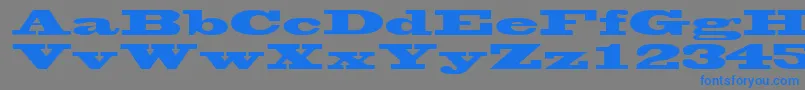 WantedsskRegular Font – Blue Fonts on Gray Background