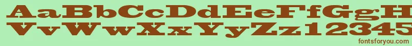 WantedsskRegular Font – Brown Fonts on Green Background