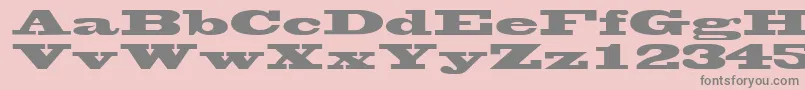 WantedsskRegular Font – Gray Fonts on Pink Background