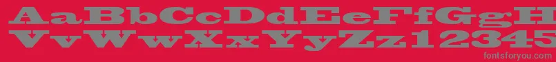 WantedsskRegular Font – Gray Fonts on Red Background