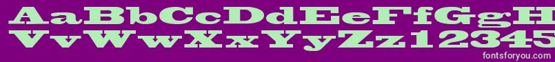 WantedsskRegular Font – Green Fonts on Purple Background