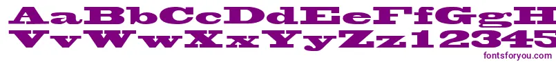 WantedsskRegular Font – Purple Fonts on White Background