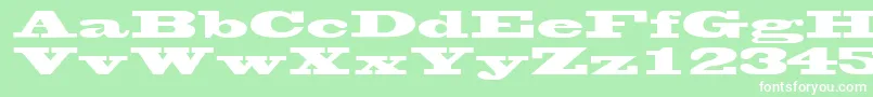 WantedsskRegular Font – White Fonts on Green Background