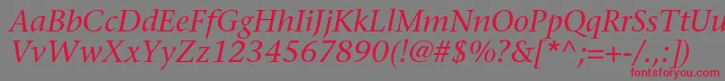 SonetserifItalic Font – Red Fonts on Gray Background