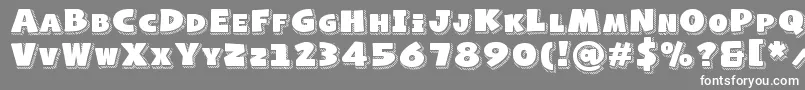 NaughtySquirrelShadowedDemo Font – White Fonts on Gray Background