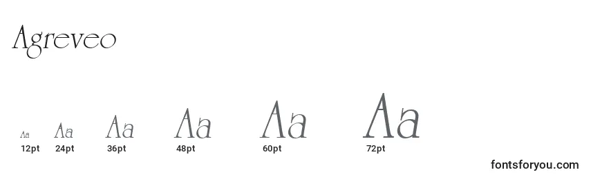 Размеры шрифта Agreveo