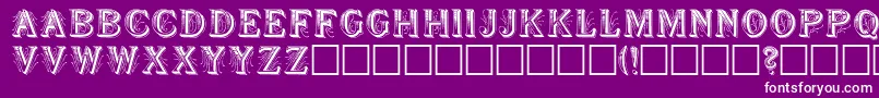 Showboa Font – White Fonts on Purple Background