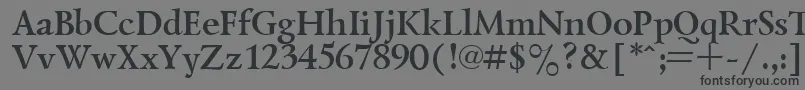 フォントLazurskyBold.001.001 – 黒い文字の灰色の背景