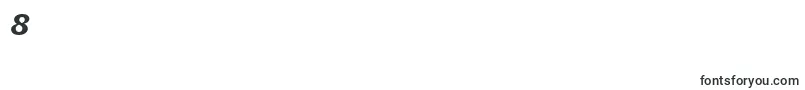 ItcUsherwoodLtBlackItalic Font – Fonts for Digit 8