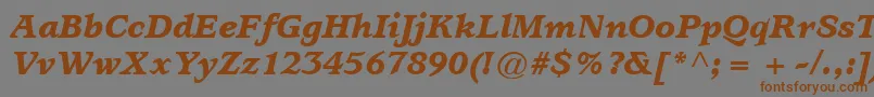 Шрифт ItcUsherwoodLtBlackItalic – коричневые шрифты на сером фоне