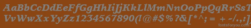 ItcUsherwoodLtBlackItalic Font – Gray Fonts on Brown Background
