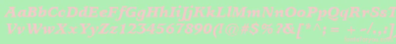 ItcUsherwoodLtBlackItalic Font – Pink Fonts on Green Background