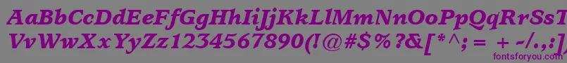 Czcionka ItcUsherwoodLtBlackItalic – fioletowe czcionki na szarym tle