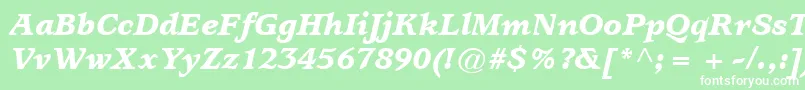 ItcUsherwoodLtBlackItalic Font – White Fonts on Green Background