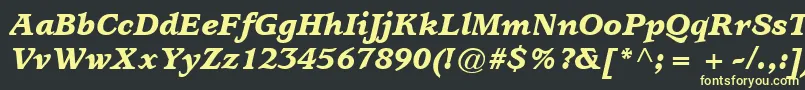 ItcUsherwoodLtBlackItalic Font – Yellow Fonts on Black Background