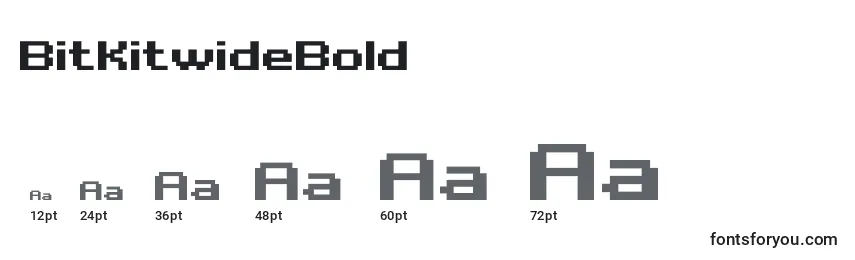BitKitwideBold Font Sizes