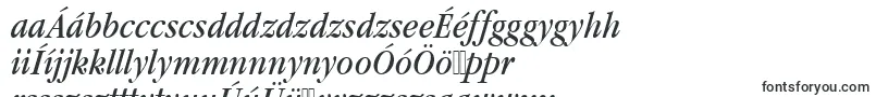 GaramonditcteeconItalic-Schriftart – ungarische Schriften