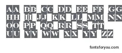 Обзор шрифта SerifertitulcmDemi