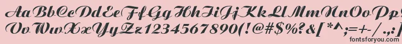 Bitscript Font – Black Fonts on Pink Background