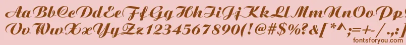 Bitscript Font – Brown Fonts on Pink Background