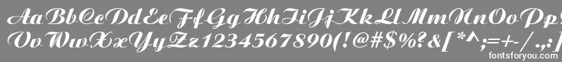 Bitscript Font – White Fonts on Gray Background