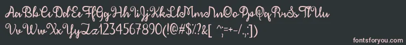 フォントDecemberCalligraphyTtf – 黒い背景にピンクのフォント