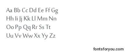 Обзор шрифта SakkalMajalla
