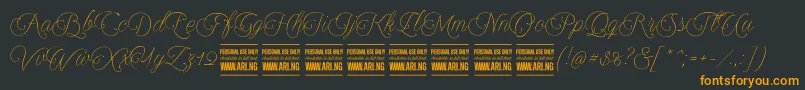 Encinascript2Personal Font – Orange Fonts on Black Background