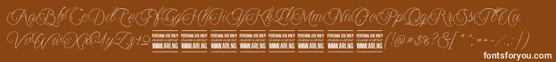 Encinascript2Personal Font – White Fonts on Brown Background